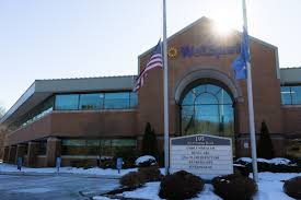 Image result for Handic 009