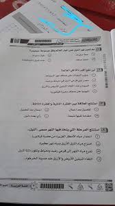 توزيع درجات أمتحان اللغة العربية ثانوية عامة 2022 : Ù†Ù…ÙˆØ°Ø¬ Ø§Ù…ØªØ­Ø§Ù† Ø§Ù„Ù„ØºØ© Ø§Ù„Ø¹Ø±Ø¨ÙŠØ© Ø§Ù„Ø«Ø§Ù„Ø« Ø§Ù„Ø«Ø§Ù†ÙˆÙŠ 2021 Ø£Ø¯Ø¨ÙŠ Pdf ÙƒÙ† Ù…Ø¬Ø¯