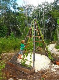 Outdoor Play Space Inspiration From Pinterest Garten Spielplatz Garten Garten Pflanzen