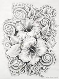 Pretty flowers to draw realistic. 45 Beautiful Flower Drawings And Realistic Color Pencil Drawings