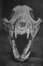 Hige1990 follow following unfollow report user 0 followers 1 following navigation. Wolf Skull Artwork Novocom Top