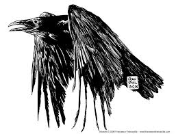 Black And White Raven Drawing The Raven By Francesco Francavilla Raven Art Raven Ink Art