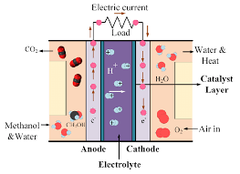 Amount of methanol is transported from the anode to the cathode and causing performance degradation. Schematic Representation Of Direct Methanol Fuel Cell Dmfc This Fuel Download Scientific Diagram