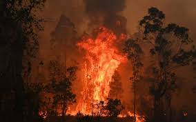 Worst Is Yet To Come In Australian Bush Firesthe Telegraph Australia Bushfires Three Dead And Thousands For Australia Bushfires In Australia Climate Change