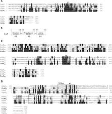 Get full access to micheal's info. The General Stress Response Ss Is Regulated By A Partner Switch In The Gram Negative Bacterium Shewanella Oneidensis Journal Of Biological Chemistry