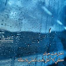 اخترعت حبك كي لا أظل تحت المطر بلا مظلة غادة السمان jardinage