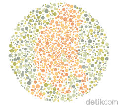 29 downloads 415 views 545kb size. 83 Gambar Untuk Cek Buta Warna Paling Bagus Gambar Pixabay
