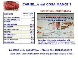 La carnitina è un acido carbossilico con una struttura simile a quella di un aminoacido, diffusa e venduta con il nome la carnitina contrasta l'accumulo di acido lattico nei muscoli e aiuta a preservare le scorte di glicogeno muscolare. Pier Luigi Rossi Carne Rossa E Sai Cosa Mangi Piano Con Gli Integratori Di Carnitina Una Bistecca Di Manzo La Carne Di Maiale Macinato Di Vitello Agnello Pancetta Petto Di Pollo E