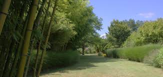 Pin Auf Gartenanlagen