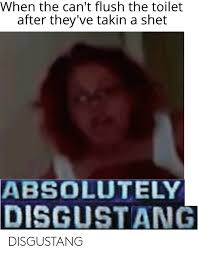 When The Can T Flush The Toilet After They Ve Takin A Shet Absolutely Disgustang Disgustang Dank Meme On Me Me