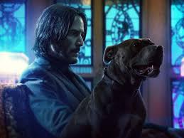 John wick is a set of cosmetics in battle royale themed around the infamous fictional assassin, john wick, from the cinematic franchise of said character. Explaining The Ending Of John Wick Chapter 3 Parabellum Polygon