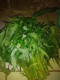 Punya sayur kangkung di masak ini aja enak banget | oseng kangkung rebon ( kangkung tetep hijau ). Sayuran Kangkung Steemit