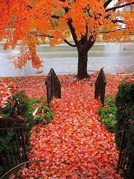 Autumn Street Wilkes Barre Pennsylvania Fall Pictures Autumn Scenes Autumn Scenery