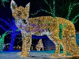 Wild Lights Light Up Your Night This Holiday Season At The Detroit Zoo