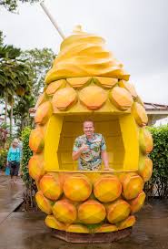 Dole Plantation Review Tips Travel Caffeine