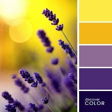 Pin By Troy Ford On Color Palettes Color Schemes Colour Palettes Summer Color Palette Color Palette Design