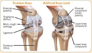 Urologists treat a wide variety of conditions affecting the parts of the body listed above. 6 Best Urologists In Kuala Lumpur And Selangor 2021