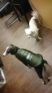 school おしゃれまとめの人気アイデア pinterest celebdog 作品