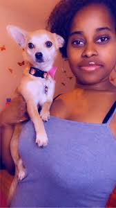 Stolen dogs in Bridge City, Texas, found in Vinton, Louisiana