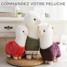 Difference Lama Alpaga Et Vigogne Alpaga Lama Anniversaire Enfant
