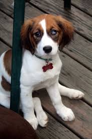 Check spelling or type a new query. Happy Tales 2019