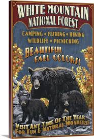 Check spelling or type a new query. White Mountains New Hampshire Black Bear Vintage Sign Retro Travel Poster Wall Art Canvas Prints Framed Prints Wall Peels Great Big Canvas