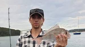 From regional towns to capital city darwin, news.com.au has you covered for national news. Nsw Teen Badly Hurt When Whale Jumps Aboard Boat Wakes From Coma Abc News