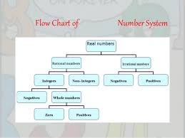 real number system flow chart bedowntowndaytona com