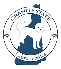 The cheapest offer starts at £8. Granite State Labradoodles Breeders In Londonderry New Hampshire