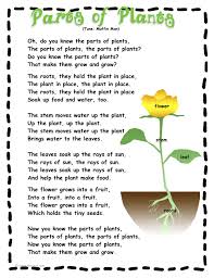 Parts Of Plants Poem Plant Song Plant Science Plant Activities