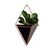 Acrylic flower pot + iron plant holders set indoor hanging planter geometric vase wall decor container succulents plant pots. The Fellie Indoor Hanging Planter Small Wall Plant Pots Hanging Planter Triangle Vase For Home Office Decoration Black H185mmxw120mm Buy Online In Bahamas At Bahamas Desertcart Com Productid 92903553