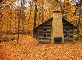 Lynda Lambert Cabins In The Woods Cabin Little Cabin