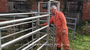 Check spelling or type a new query. Simple Cattle Handling System Youtube
