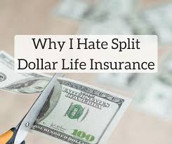 That's not a bug of life. Why I Hate Split Dollar Life Insurance White Coat Investor