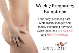 We did not find results for: Week 7 Pregnancy Symptoms Baby Belly Tips Kopa Birth