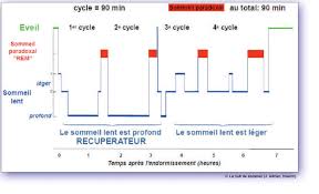 Le cortisol est surtout secrété en excès durant les tensions physiques ou bien psychologiques. A Chacun Son Sommeil France Insomnie