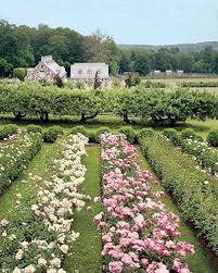 Shortlist Martha Stewart Peonies Garden Beautiful Gardens Flower Farm