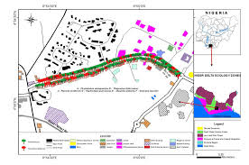 Image result for Oleandra distenta