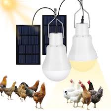 Solar Chicken Coop Light