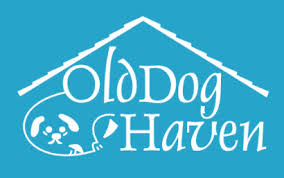 Please click the link for more information about our updated policies and procedures. End Of Life Care For Pets Pet Loss Services Seattle Area Compassion 4 Paws