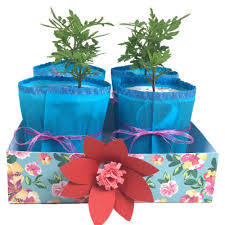 Met een doekje met een beetje water veeg je het krijt er zo weer af. Moederdag Cadeau Giftbox Maken Voor Plantjes Juf Jannie Leren Met Kinderen