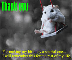 Birthday Thank You Gif Funny Https Encrypted Tbn0 Gstatic Com Images Q Tbn 3aand9gcrym07u4qh2mh4iyv9nu0ag Lnev6jwyq7fnw Usqp Cau