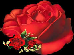 ولا عمر قلبى لغيرك انا قلبى خاصم دنيته. Ø¹ØµÙ…Øª Ø±Ø´ÙŠØ¯ Ù„ÙŠÙ‡ ØªØ´ÙƒÙŠ Ù…Ù† Ø§Ù„Ø¯Ù†ÙŠØ§ ÙŠØ§ ÙˆØ±Ø¯ Ù†Ø¨ÙŠÙ„ Ø§Ù„Ù‚Ø¯Ø³ Youtube