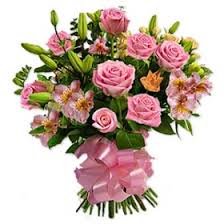 We did not find results for: Send Flowers To Mexico Order Online Flowers Tomexico Worldpetals Com