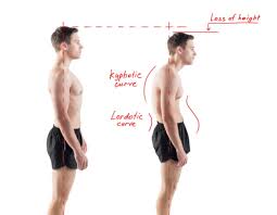 Image result for Posture