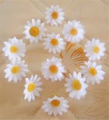 Peruse our vast category of daisies and poms below. Silk Gerbera Daisy Mini Flowers 100 Heads For Hair Clips Wedding Party Vanrina