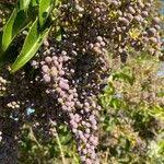 Kathy Munch: Observations