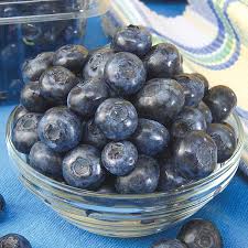 Unlimited access to blueberry market reports on 180 countries. Patriot Hybrid Blueberry Gurney S Seed Nursery Co