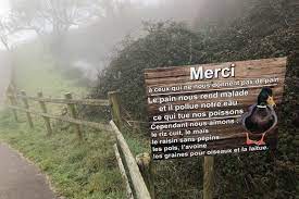 Et ça commence par un lundi qui arrive à pas de souris. La Question Pas Si Bete Pourquoi Ne Faut Il Jamais Donner Du Pain Aux Canards Le Pays D Auge