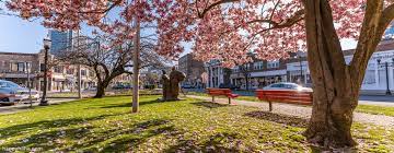 New Residents | Stamford, Ct